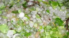 Mưa đá kèm giông lốc 'hoành hành' Thanh Hóa