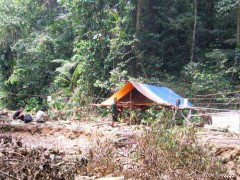 5 phu trầm bị giết: Tung hàng trăm CS phá án