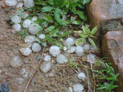 Video: Mưa đá tiếp tục tàn phá Thanh Hoá, Nghệ An