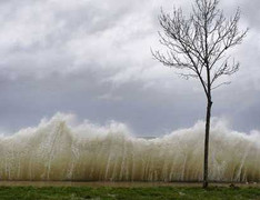 Dự báo bão sai sẽ bị phạt 50 triệu đồng