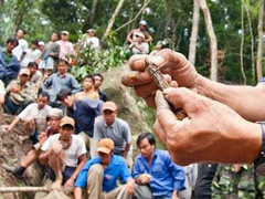 Nghiệt ngã kiếp phu trầm