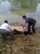 Xác chết lõa thể dưới hồ nước công viên