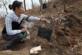 Bỏ tiền tỷ mua đất chôn cất, mai táng thú nuôi