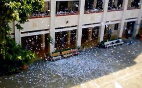 Đằng sau chuyện hàng trăm học sinh xé đề cương Sử