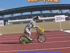 Cười vỡ bụng clip chó đốm đua xe như vận động viên