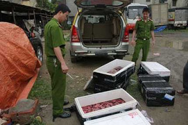 Nội tạng thối 'cưỡi' máy bay Vietnam Airlines về Hà Nội