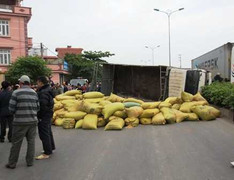 Xe chở thóc lật giữa quốc lộ đè chết một phụ nữ