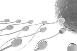 Bài thuốc tuyệt hay chữa suy giảm