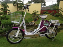 Doanh nghiệp Việt nội địa hóa xe đạp điện