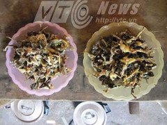 Rơi nước mắt với bữa ăn nhái và ễnh ương của thầy cô