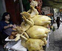 Dịch cúm A/H7N9: Vẫn ăn được gà