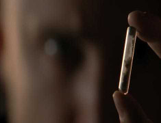 Giải mã chất độc gửi 'lấy mạng' ông Obama