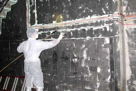 Công bố dịch bệnh cúm H5N1 trên đàn chim yến Ninh Thuận