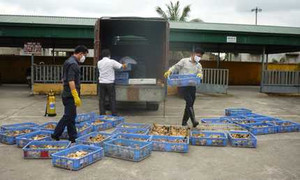 Nổ súng chặn xe 'điên' lao vào lực lượng chức năng