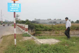 Phá án từ hạt lúa nảy mầm trên thi thể nữ đại gia