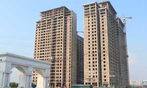 Bi hài chuyện mua nhà thời 'bánh vẽ'