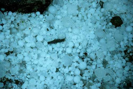 Tuần này, thời tiết cả nước ra sao?