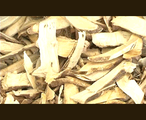 'Thần dược' trị 5 bệnh ung thư giá trên trời