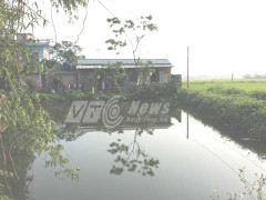 Hãi hùng ‘vương quốc bầy đàn’ kinh doanh đa cấp