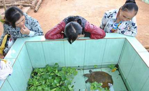 Tin đồn 'ba ba thần', thị trấn náo loạn