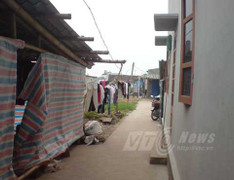 Tận thấy đời sống nguyên thủy ở chốn 'bầy đàn' đa cấp