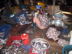 Đặc sản chả cá, những hình ảnh thấy rồi 'cạch' luôn