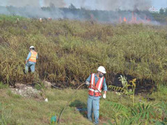 Cháy lớn gần đường hầm vượt sông Sài Gòn