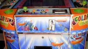 Dễ ngồi tù vì trò chơi đánh bạc kiểu sinh viên