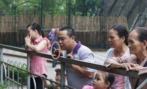 Mặc cấm, thuốc lá vẫn đỏ rực nơi công cộng