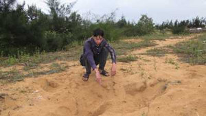 Nghi trộm tiền, bắt người đem chôn sống