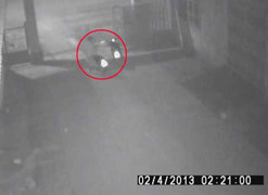 Clip: Tên trộm liều mạng lái 2 xe máy