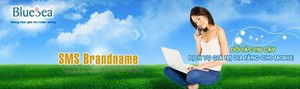 Tăng kinh doanh: dịch vụ SMS Marketing của BlueSea