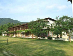 Quan chức bóc lỗi Mỹ Linh 'xây nhà trên đất rừng'