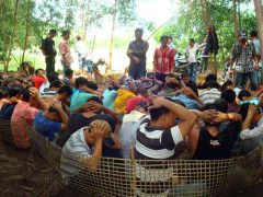 Nổ súng bắt sới bạc giữa rừng tràm