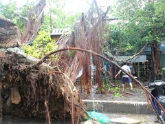 Ảnh: Lốc xoáy lớn tàn phá đường phố Sài Gòn