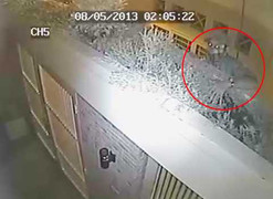 Clip: Trộm hung hãn trèo tường vào nhà, đập phá camera