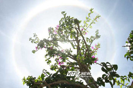 Chuyên gia lý giải quầng sáng lạ lùng ở Đà Lạt