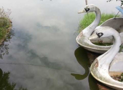 Hà Nội: Hai học sinh nữ chết đuối trong khu sinh thái