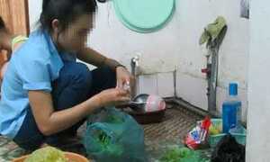 Sinh viên thuê trọ thành osin 'cao cấp'