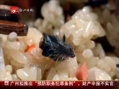 Mua xôi nếp được 'khuyến mại' đầu chuột