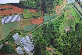 Ảnh chụp từ máy bay không người lái của VN