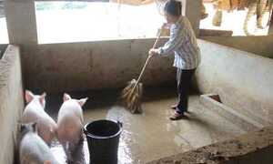 Kỳ lạ 'xã không chồng' ở Thái Nguyên