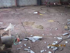 Rơi từ độ cao 8 mét, một giám đốc nguy kịch