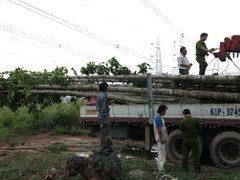 Mất điện toàn miền Nam: Cảnh sát vào cuộc điều tra