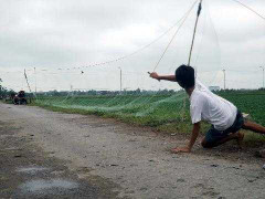 ‘Sứ giả mùa xuân’ lên… bàn nhậu