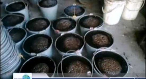 Thời sự 24/5: Ghê người thạch đen bẩn chưa từng thấy