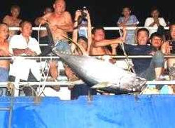 Ngư dân Trung Quốc vật vã bắt cá ở Trường Sa