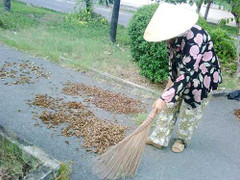 Kiệt quệ sống 'tầm gửi' ở bệnh viện