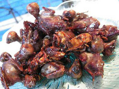 Thời sự 26/5: Hãi hùng chế biến chim sẻ từ vịt chết