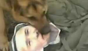 Liên tiếp xảy ra chó cắn người đến chết